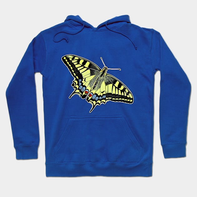 Swallowtail Butterfly Papilio machaon Hoodie by AikasHeaven